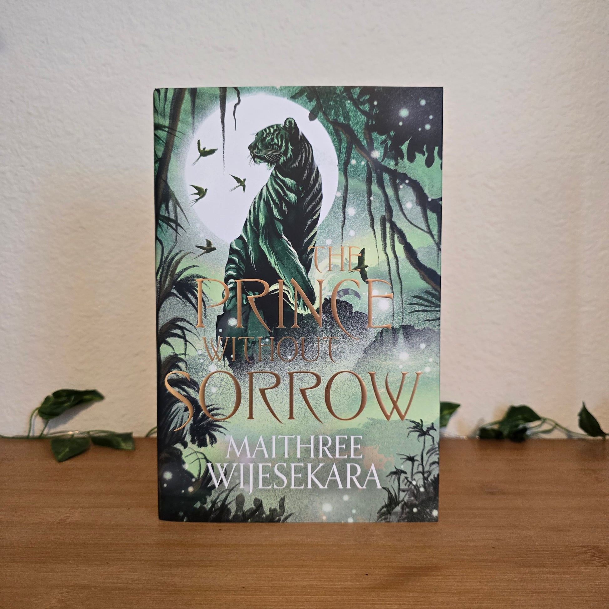The Prince Without Sorrow by Maithree Wijesekara – Illumicrate Exclusive Edition - EnchantedBindings