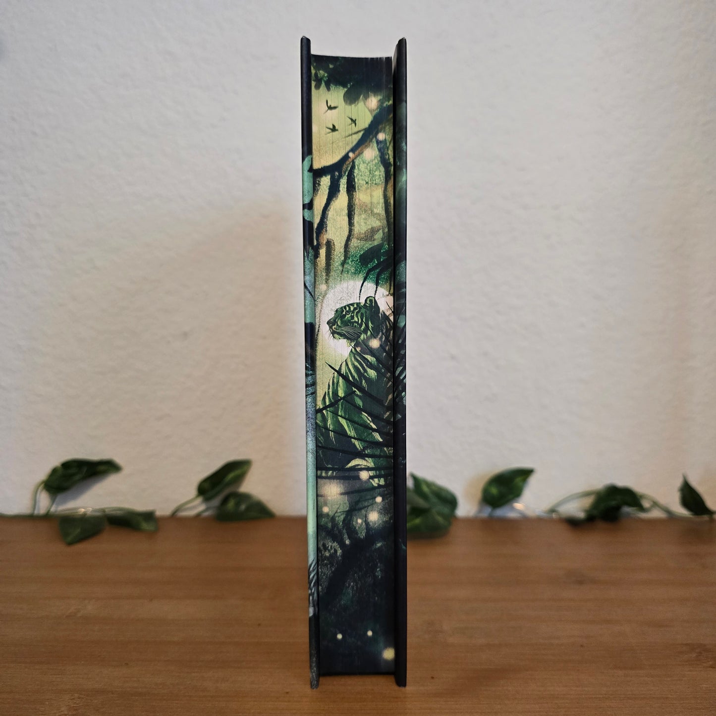 The Prince Without Sorrow by Maithree Wijesekara – Illumicrate Exclusive Edition - EnchantedBindings
