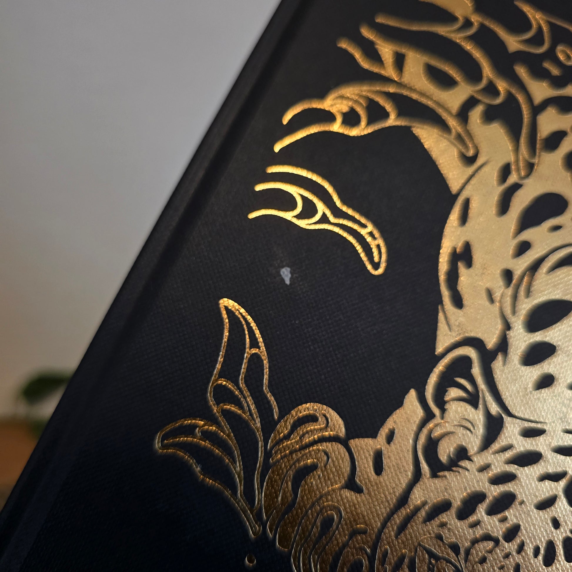 The Prince Without Sorrow by Maithree Wijesekara – Illumicrate Exclusive Edition - EnchantedBindings