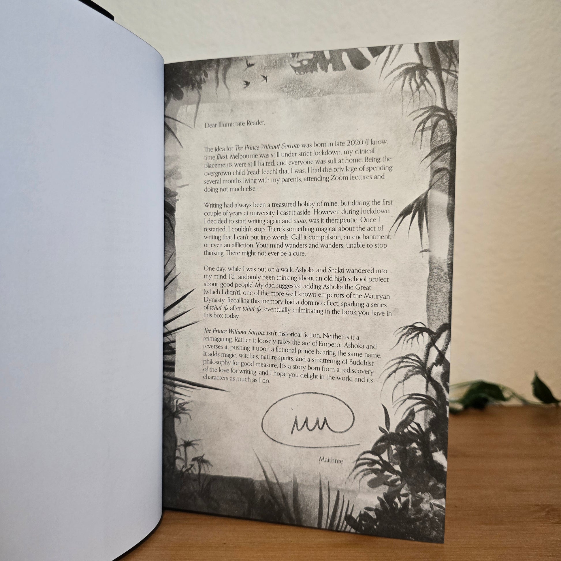The Prince Without Sorrow by Maithree Wijesekara – Illumicrate Exclusive Edition - EnchantedBindings