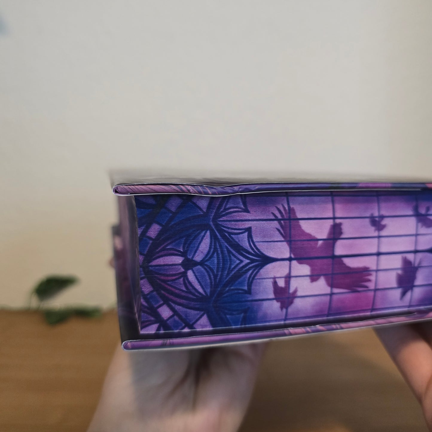 The Raven Scholar by Antonia Hodgson – Illumicrate Exclusive Edition - EnchantedBindings