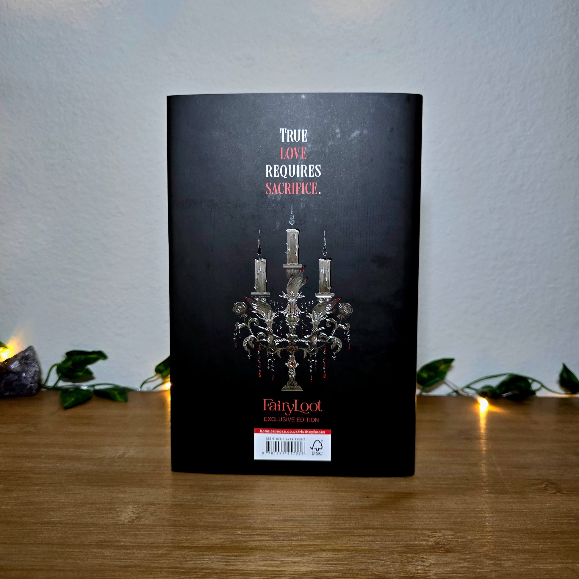 Book with a chandelier illustration and text on a wooden surface with decorative lights.