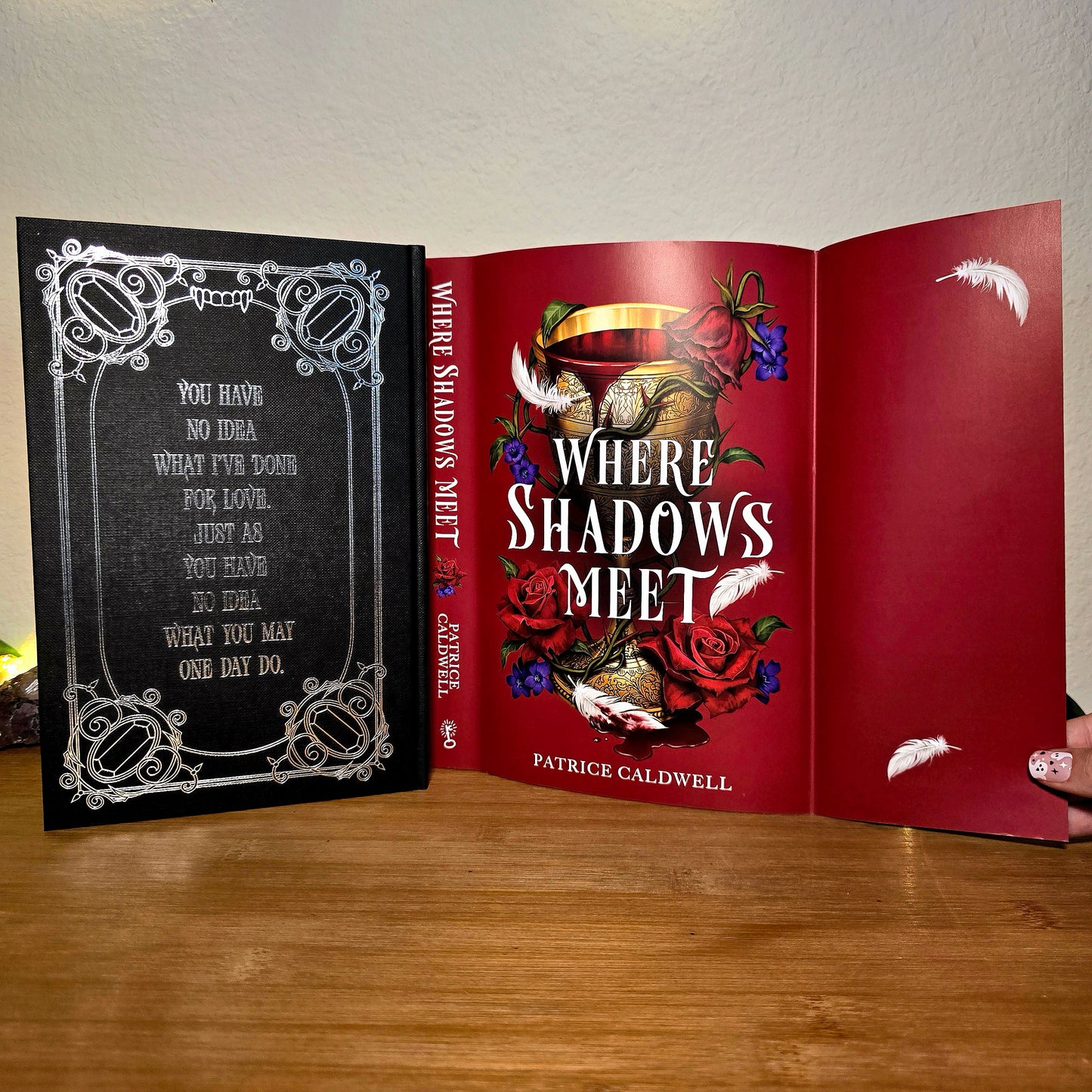 Book titled 'Where Shadows Meet' by Patrice Caldwell on a wooden surface with a white wall background.