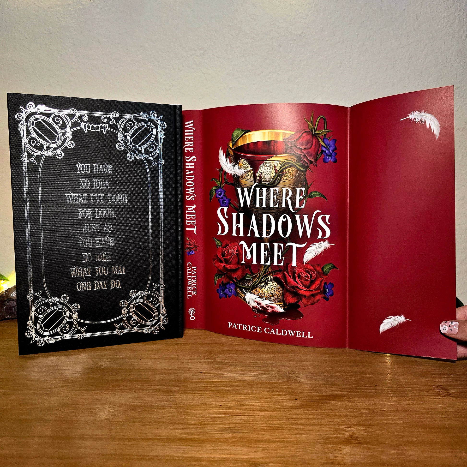 Book titled 'Where Shadows Meet' by Patrice Caldwell on a wooden surface with a white wall background.