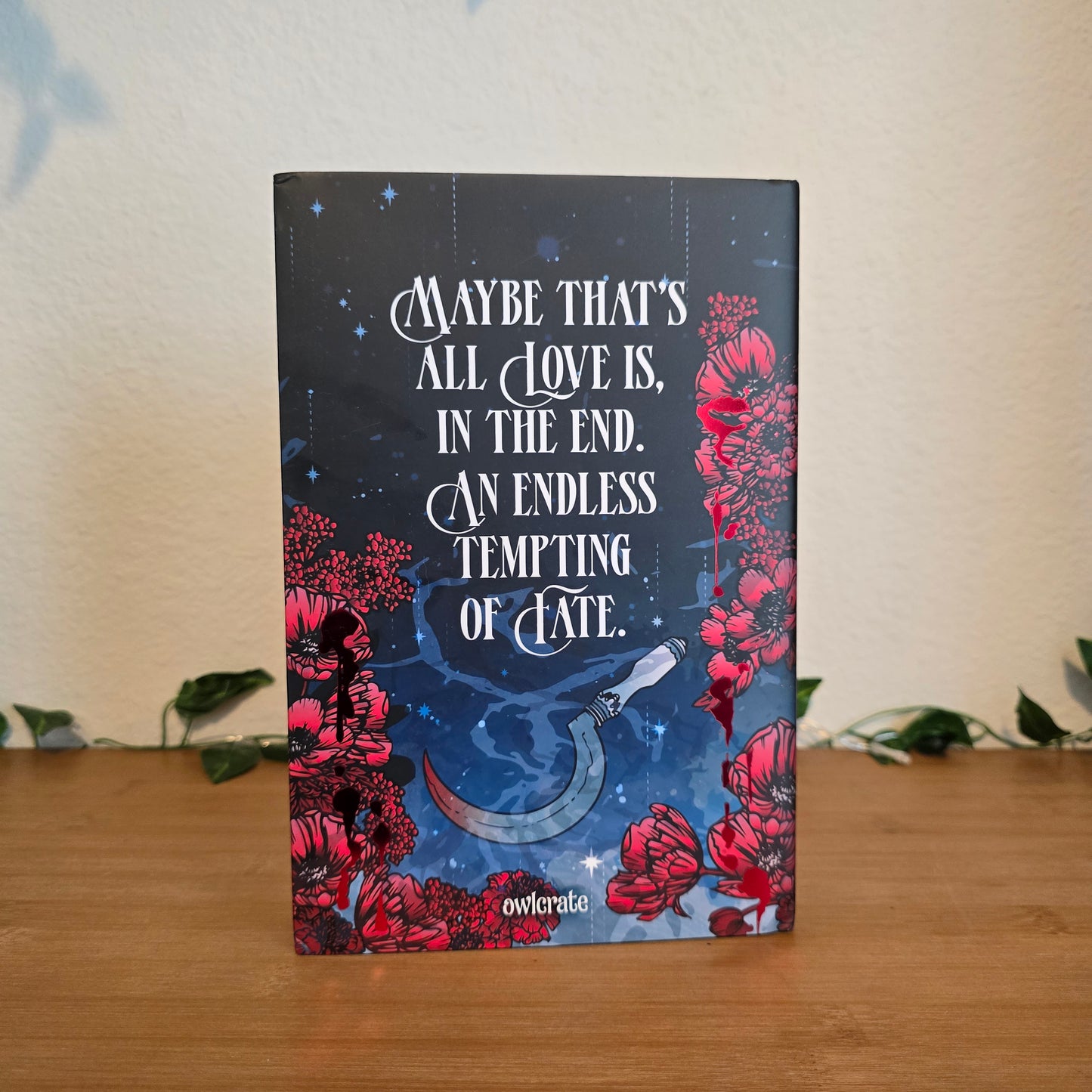 Our Infinite Fates by Laura Steven - OwlCrate Exclusive Edition
