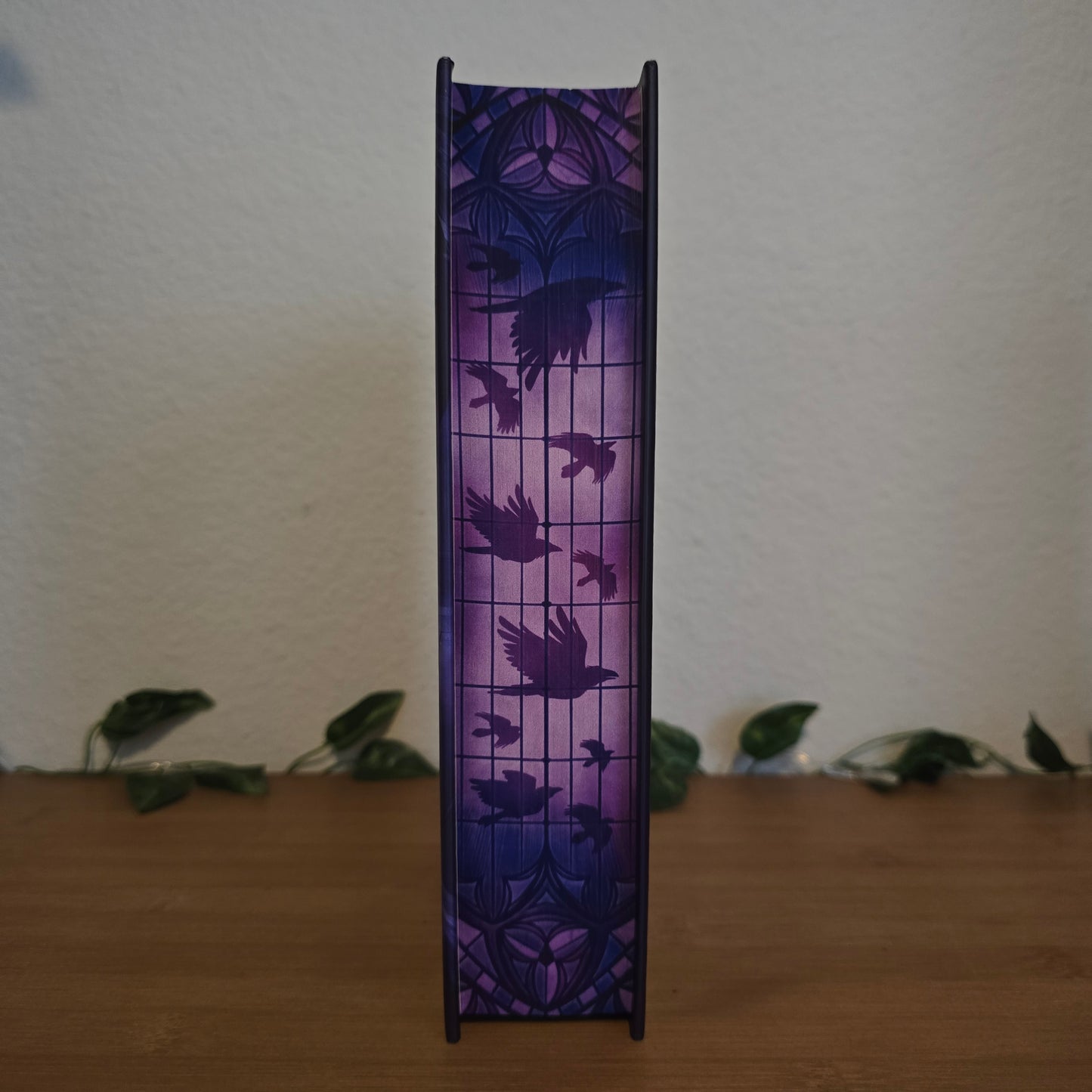 The Raven Scholar by Antonia Hodgson – Illumicrate Exclusive Edition - EnchantedBindings