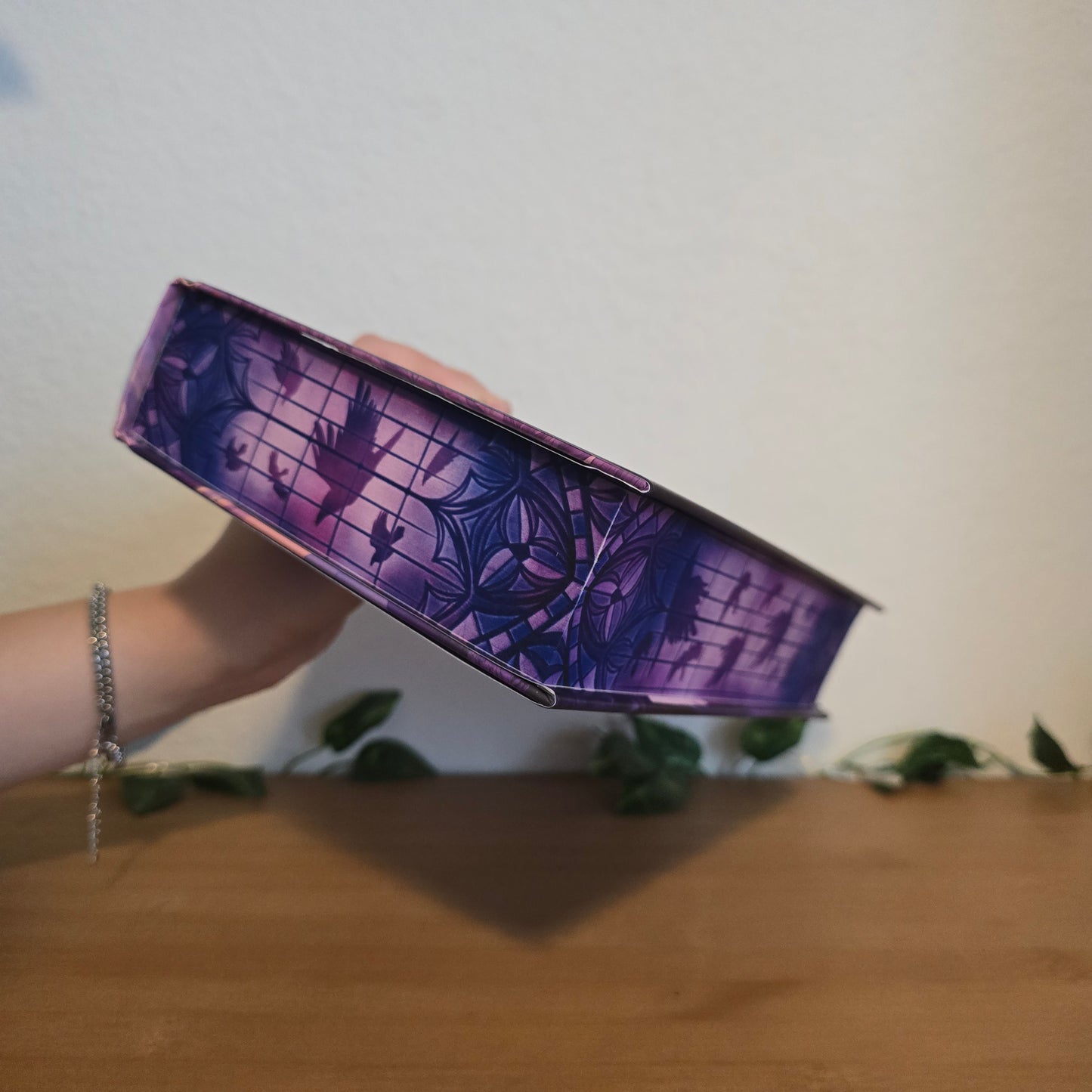 The Raven Scholar by Antonia Hodgson – Illumicrate Exclusive Edition - EnchantedBindings