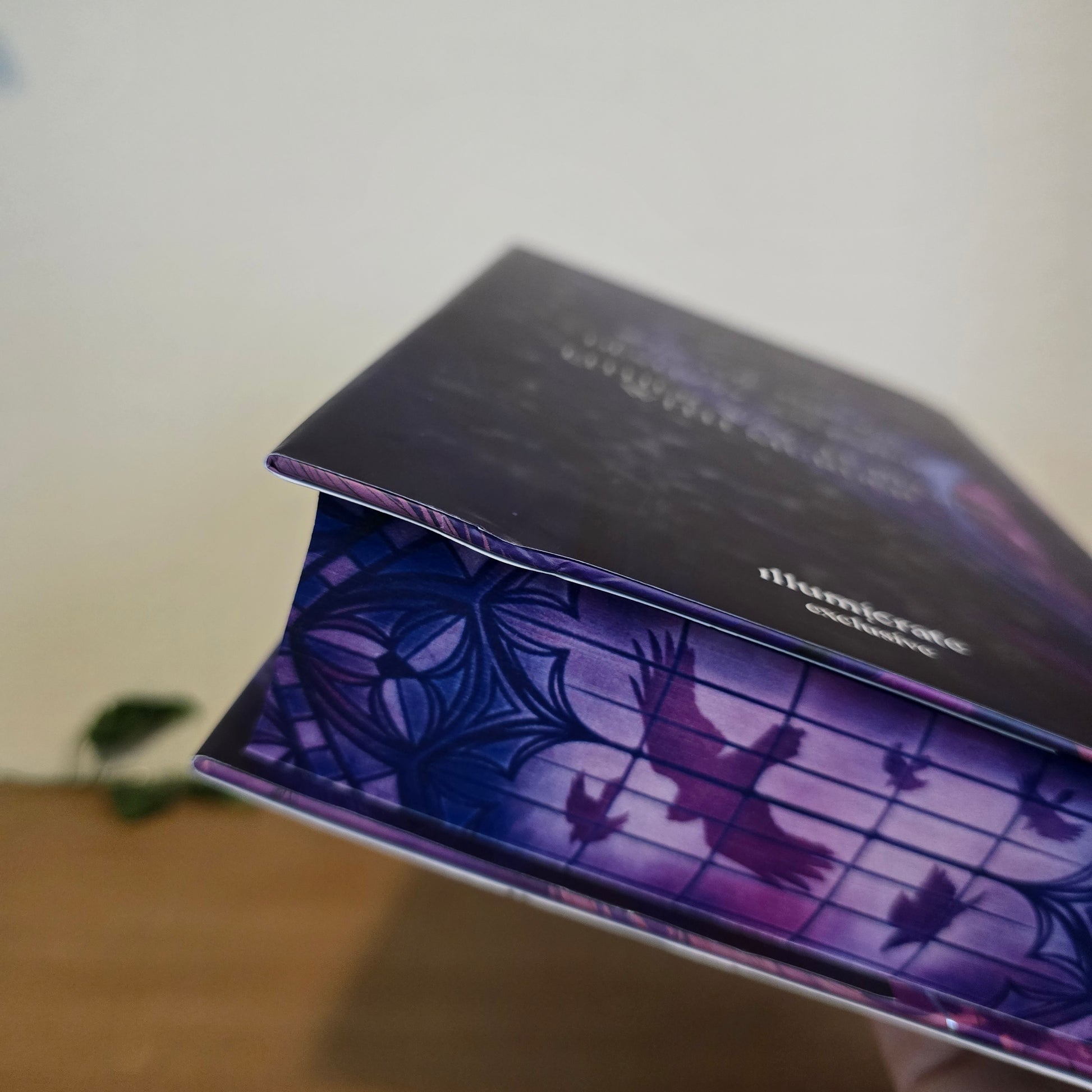 The Raven Scholar by Antonia Hodgson – Illumicrate Exclusive Edition - EnchantedBindings