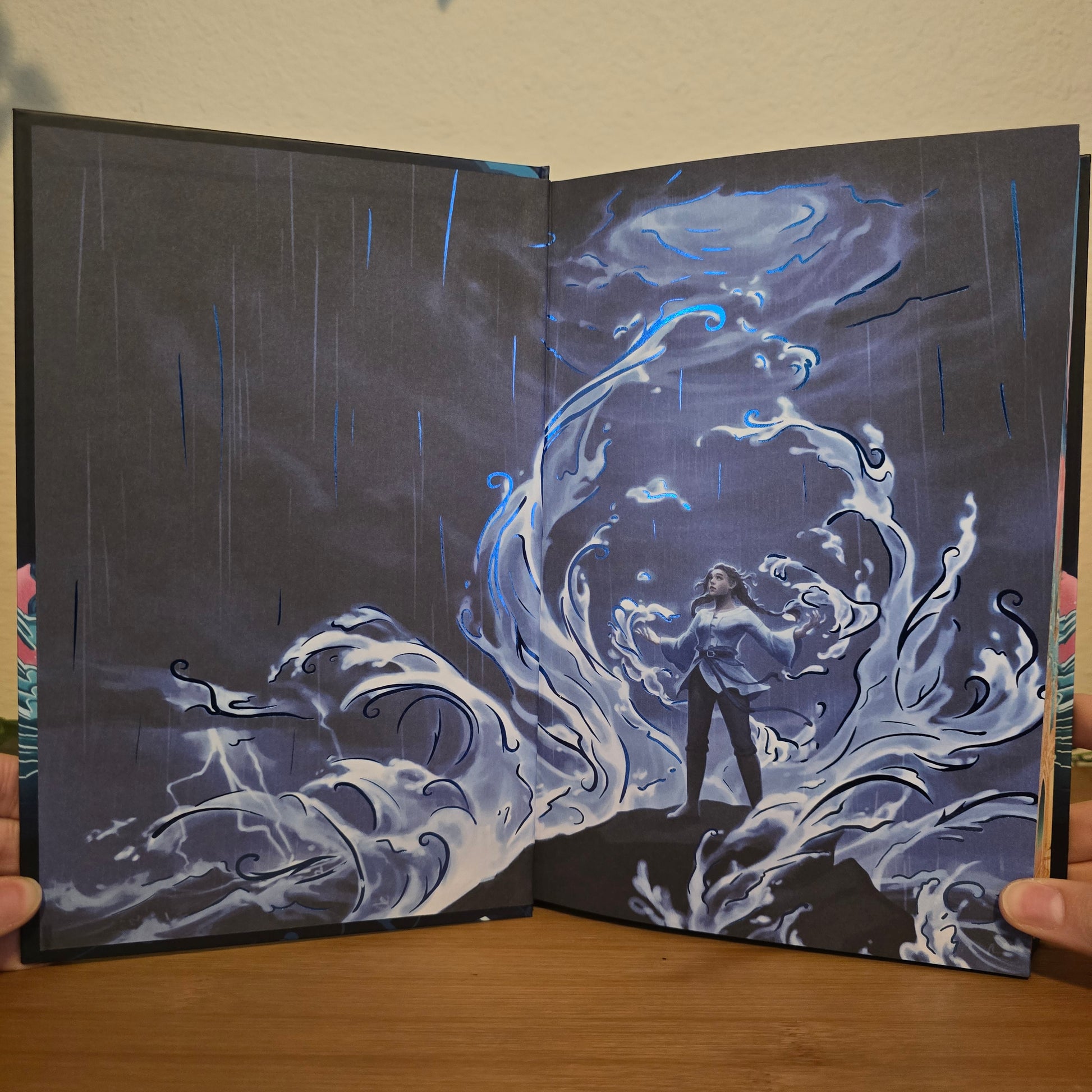 Heir of Storms by Lauryn Hamilton Murray - FairyLoot Exclusive Edition - EnchantedBindings