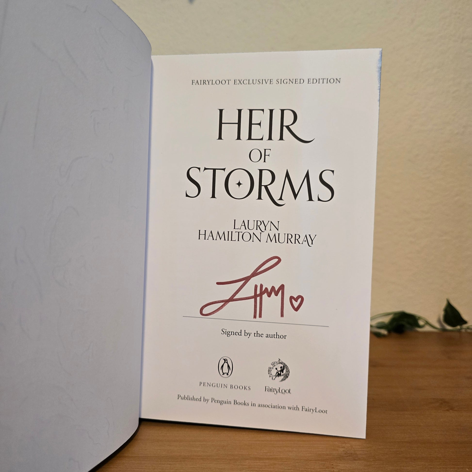 Heir of Storms by Lauryn Hamilton Murray - FairyLoot Exclusive Edition - EnchantedBindings