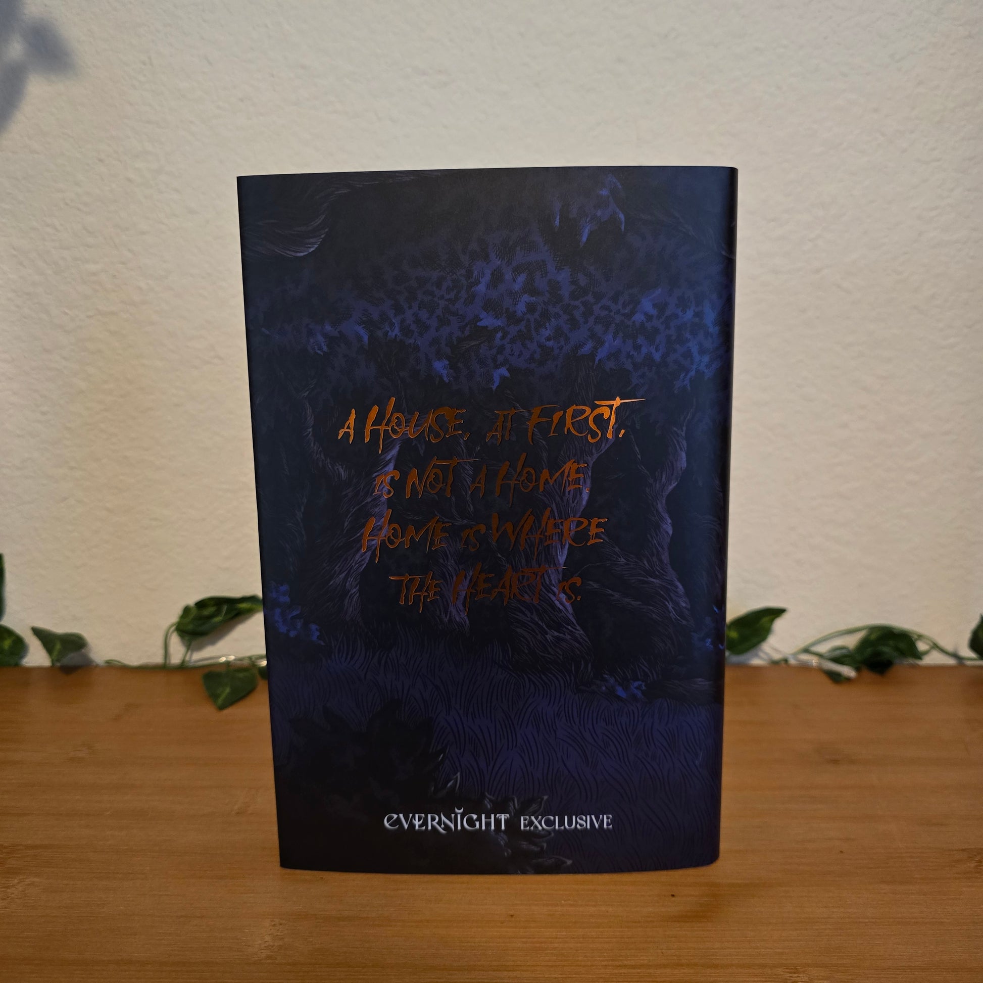 The Staircase in the Woods by Chuck Wendig - Evernight Exclusive Edition - EnchantedBindings