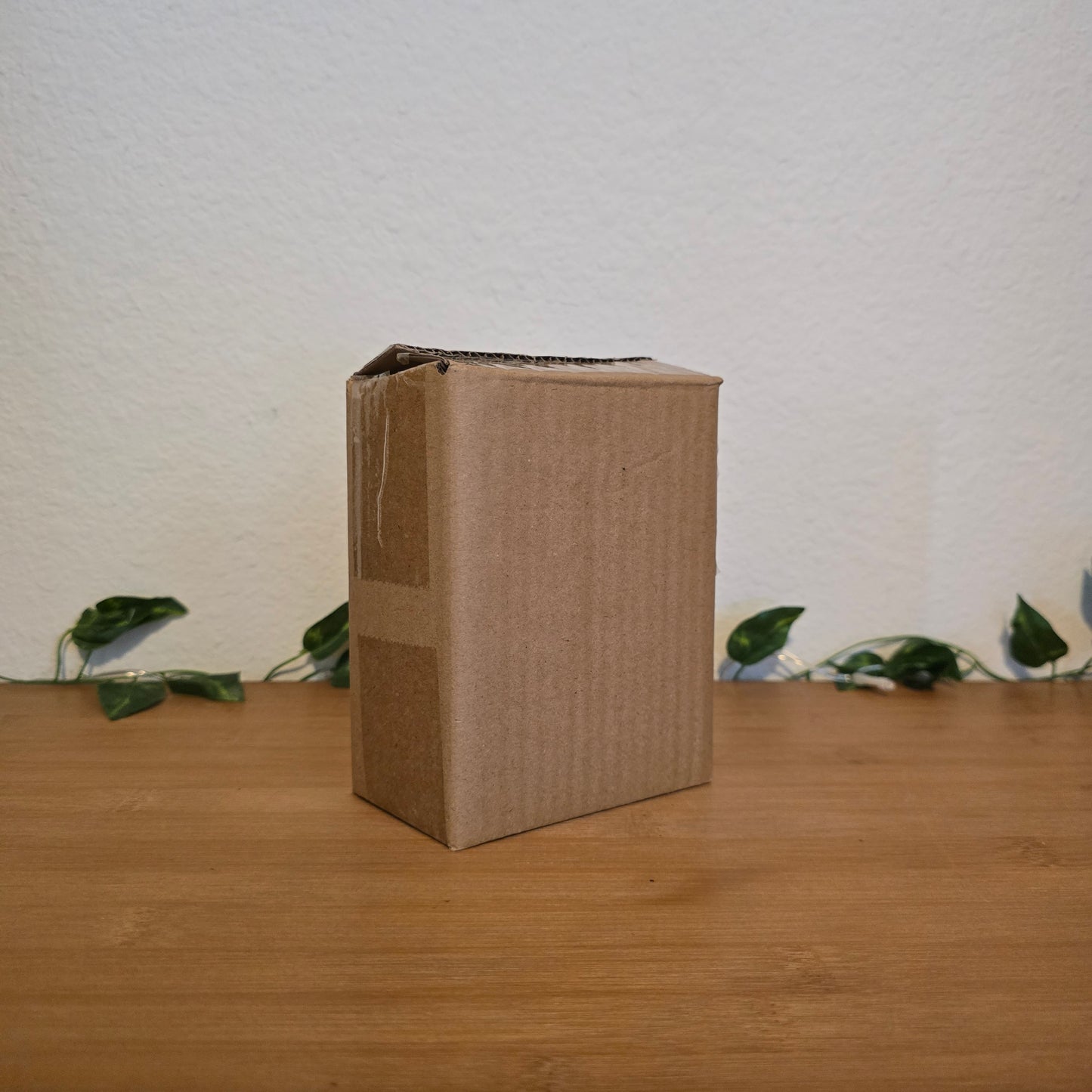 Alternate Realities Book Pot – Illumicrate Exclusive - EnchantedBindings