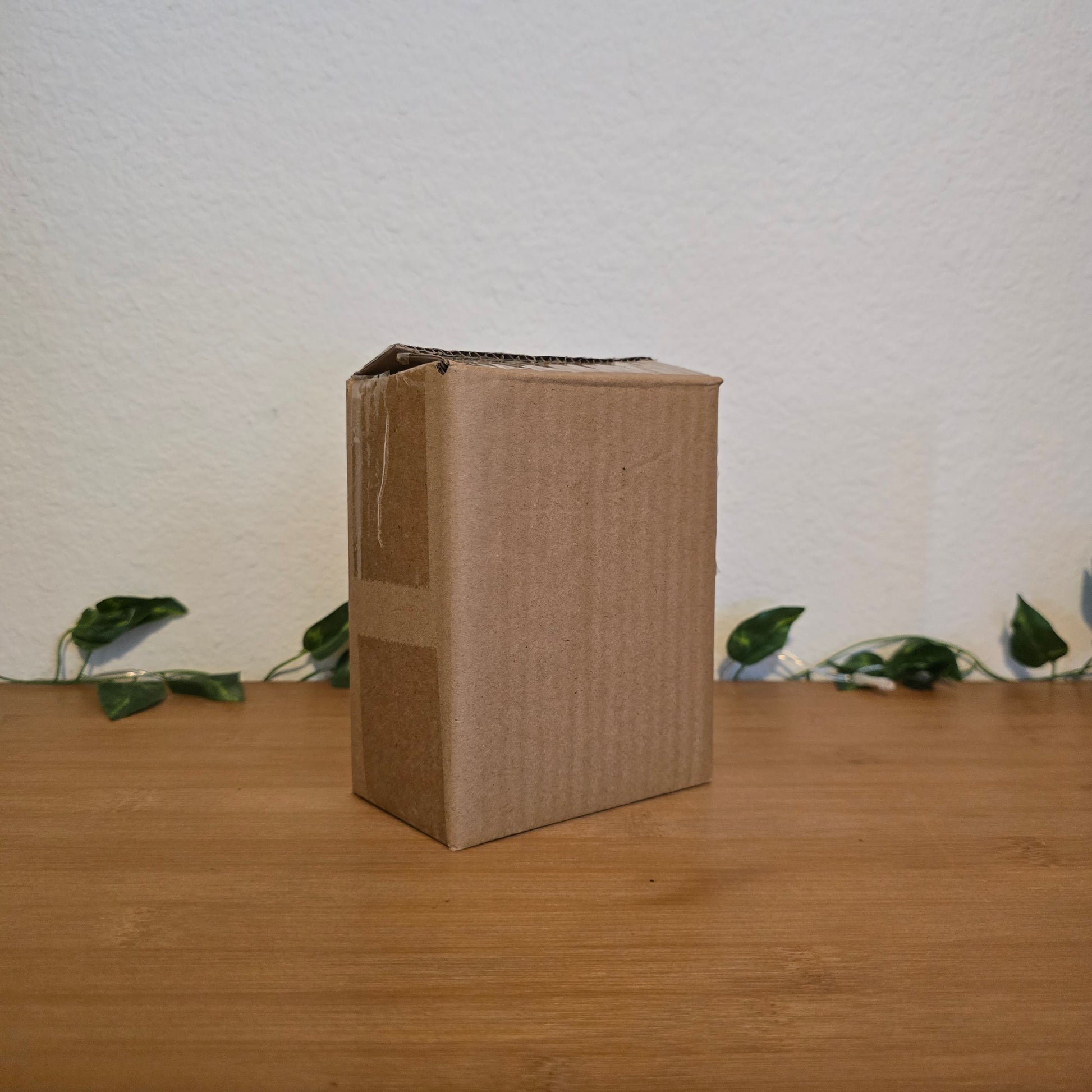 Alternate Realities Book Pot – Illumicrate Exclusive - EnchantedBindings