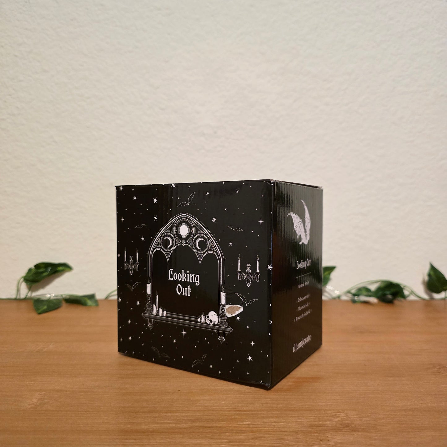 Looking Out & Looking In Snack Bowls – Illumicrate Exclusive - EnchantedBindings