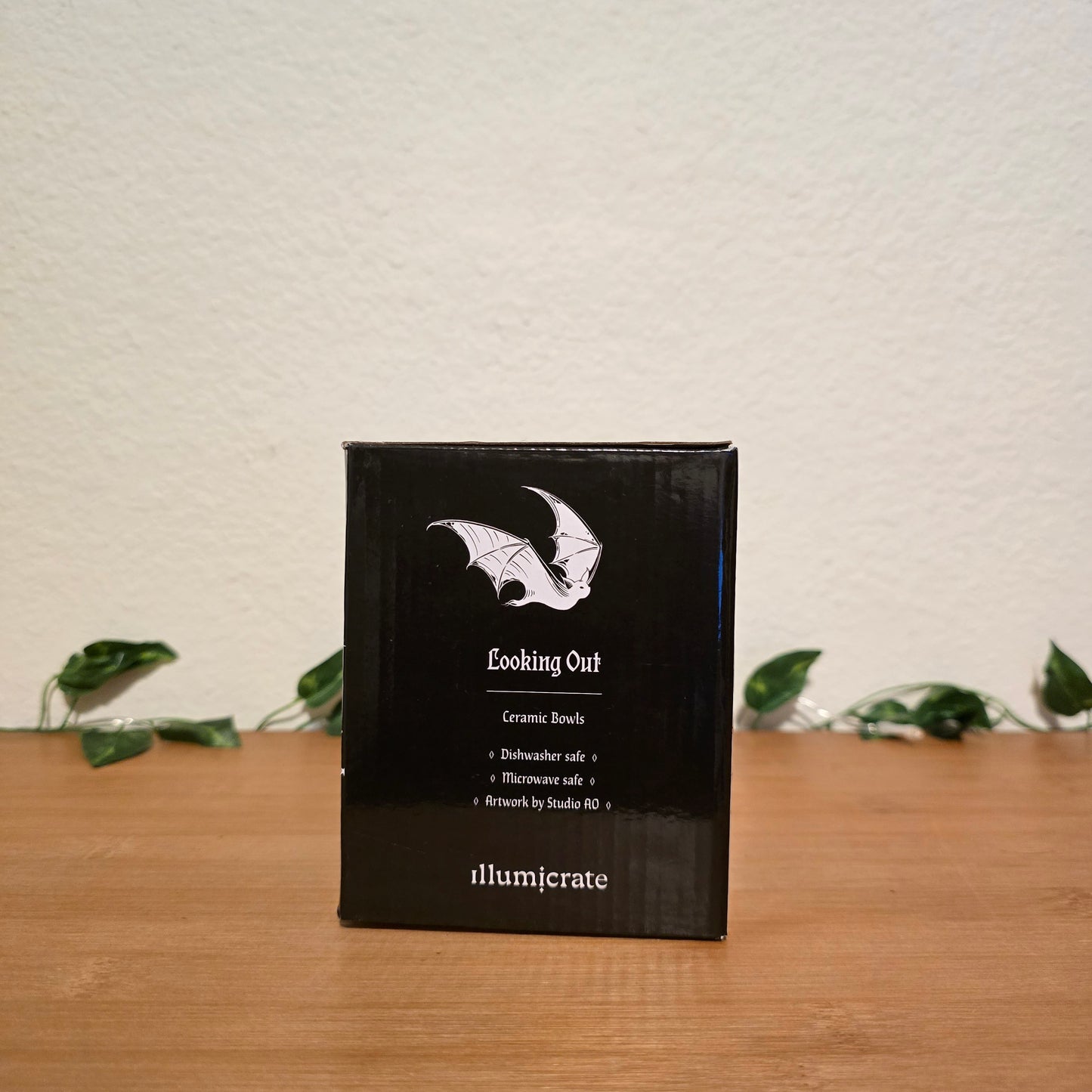 Looking Out & Looking In Snack Bowls – Illumicrate Exclusive - EnchantedBindings