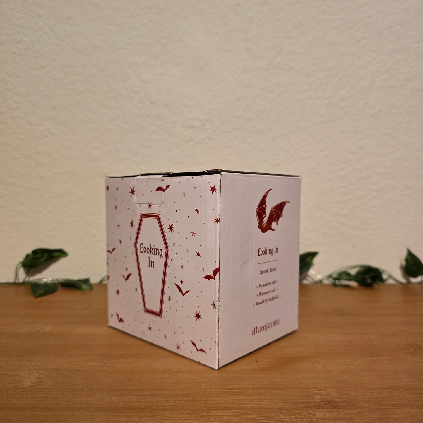 Looking Out & Looking In Snack Bowls – Illumicrate Exclusive - EnchantedBindings