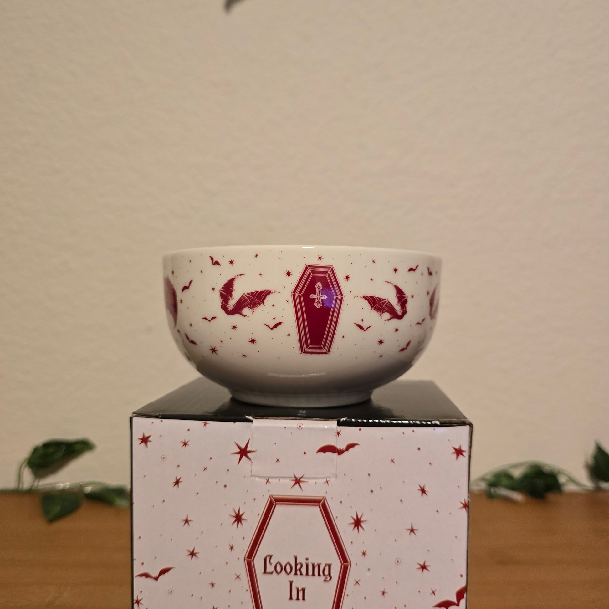 Looking Out & Looking In Snack Bowls – Illumicrate Exclusive - EnchantedBindings