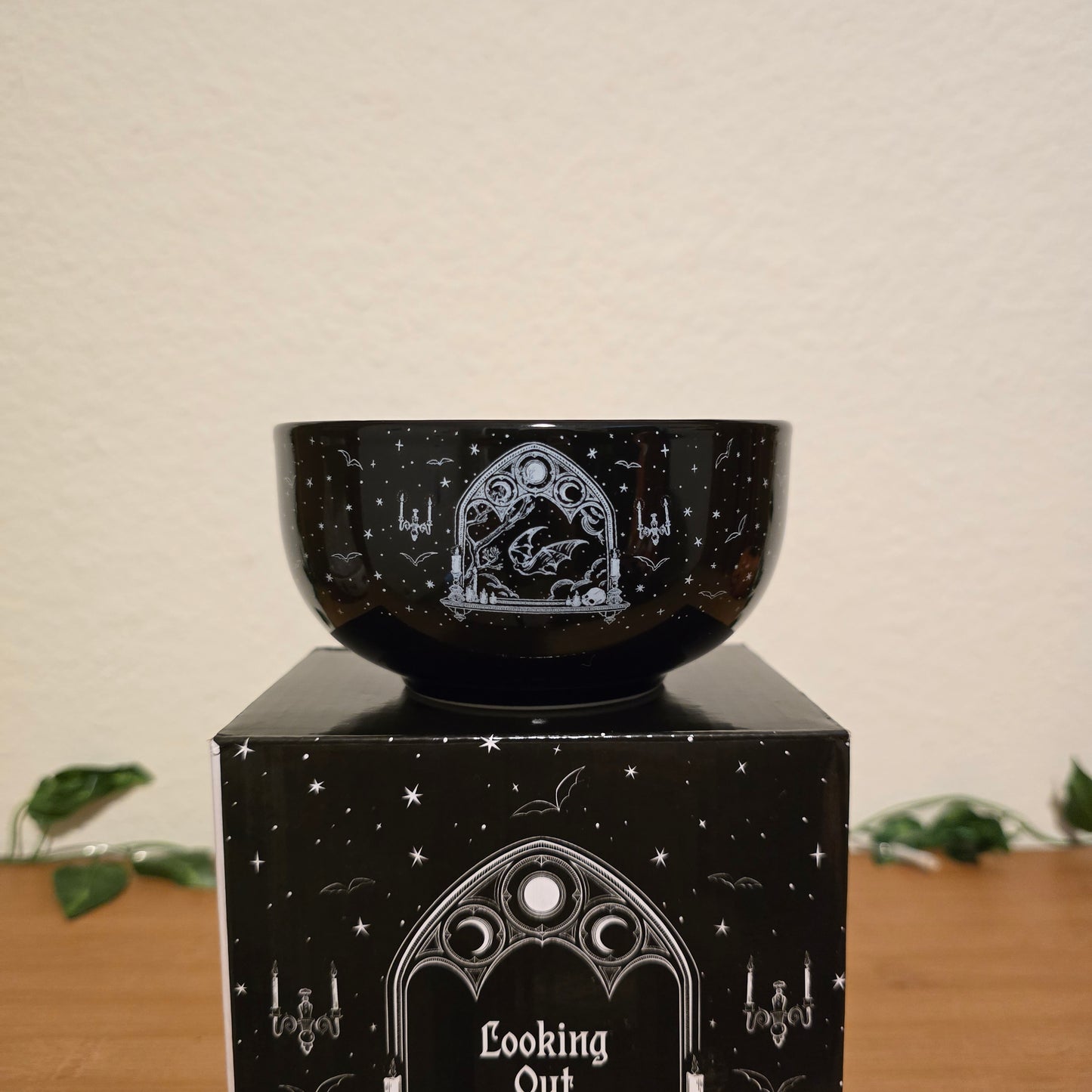 Looking Out & Looking In Snack Bowls – Illumicrate Exclusive - EnchantedBindings