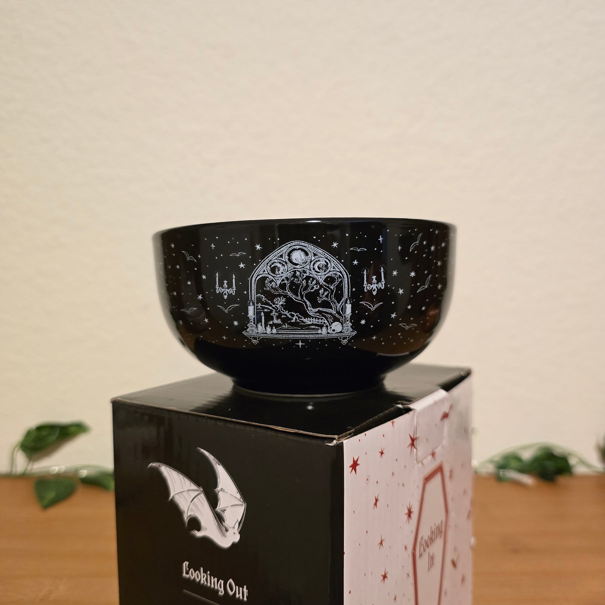 Looking Out & Looking In Snack Bowls – Illumicrate Exclusive - EnchantedBindings