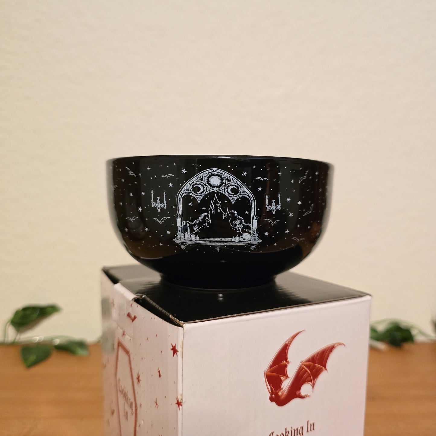 Looking Out & Looking In Snack Bowls – Illumicrate Exclusive - EnchantedBindings