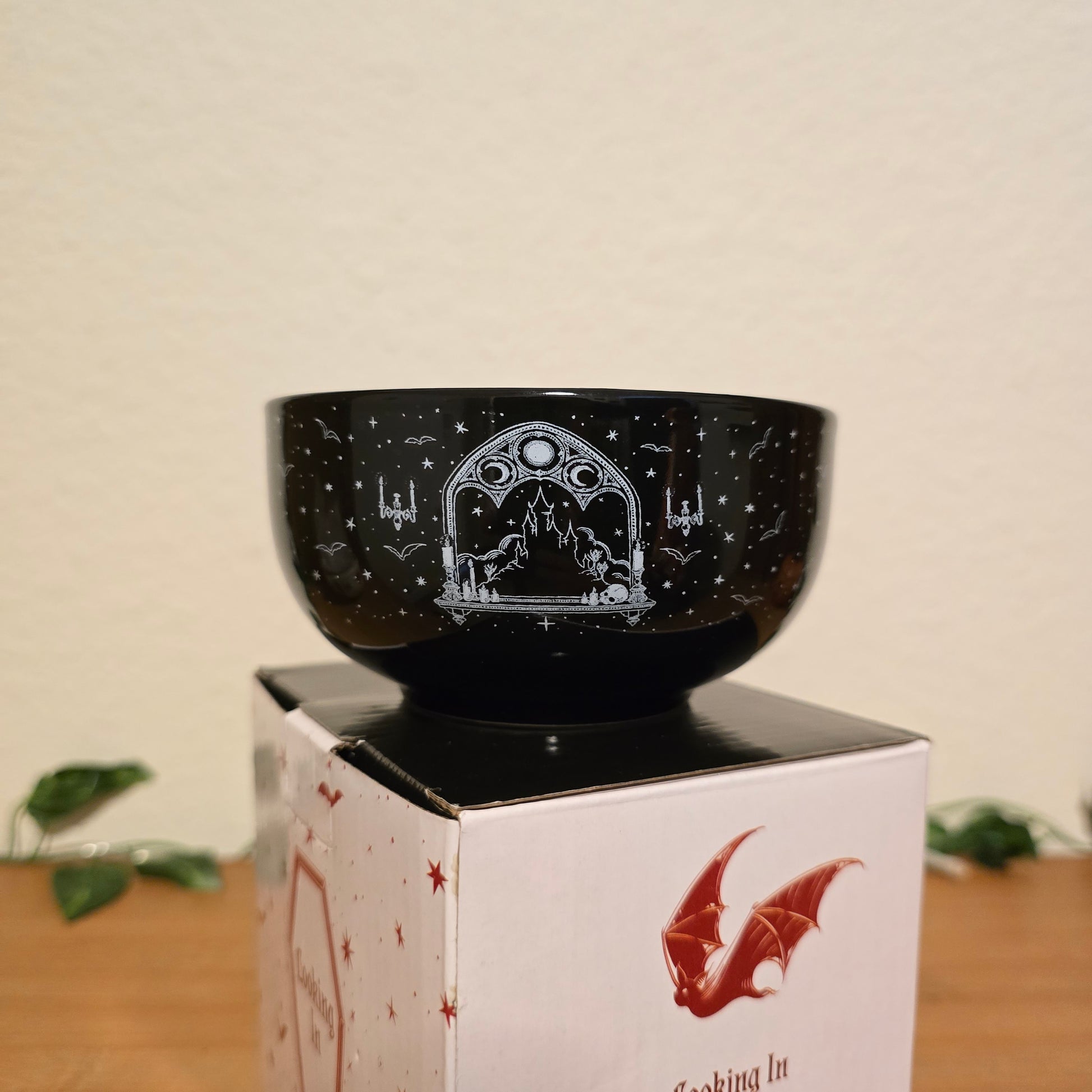 Looking Out & Looking In Snack Bowls – Illumicrate Exclusive - EnchantedBindings