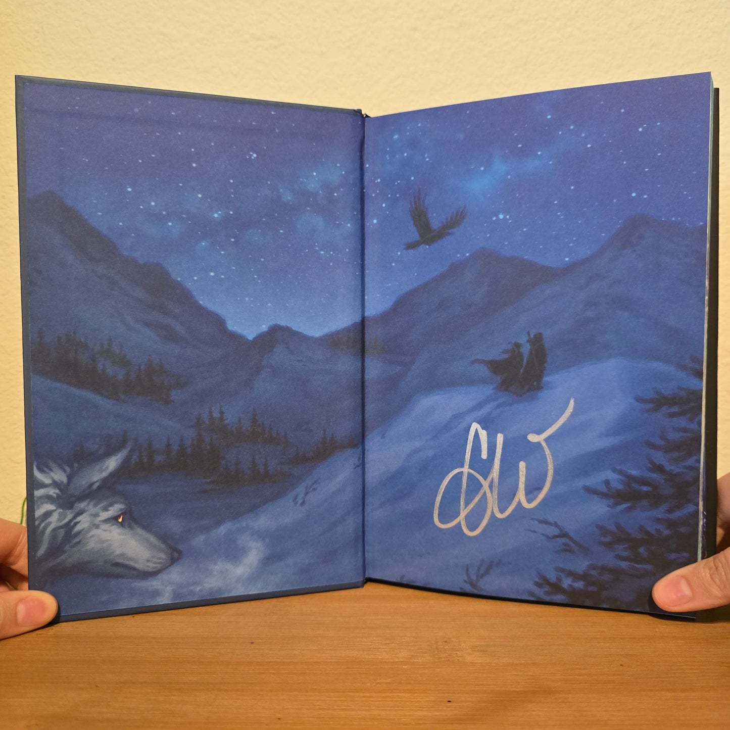 The Witch Collector & City of Ruin by Charissa Weaks — The Arcane Society Exclusive Bundle (Signed)