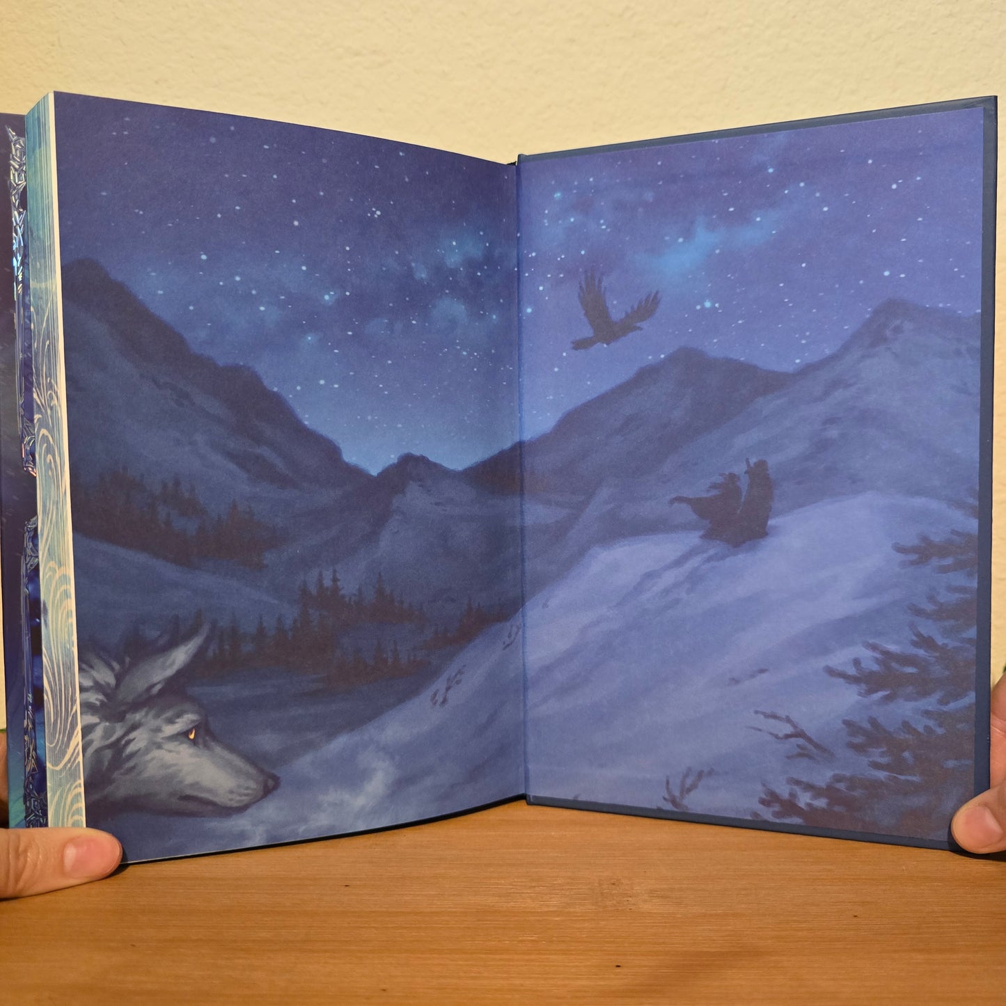 The Witch Collector & City of Ruin by Charissa Weaks — The Arcane Society Exclusive Bundle (Signed)