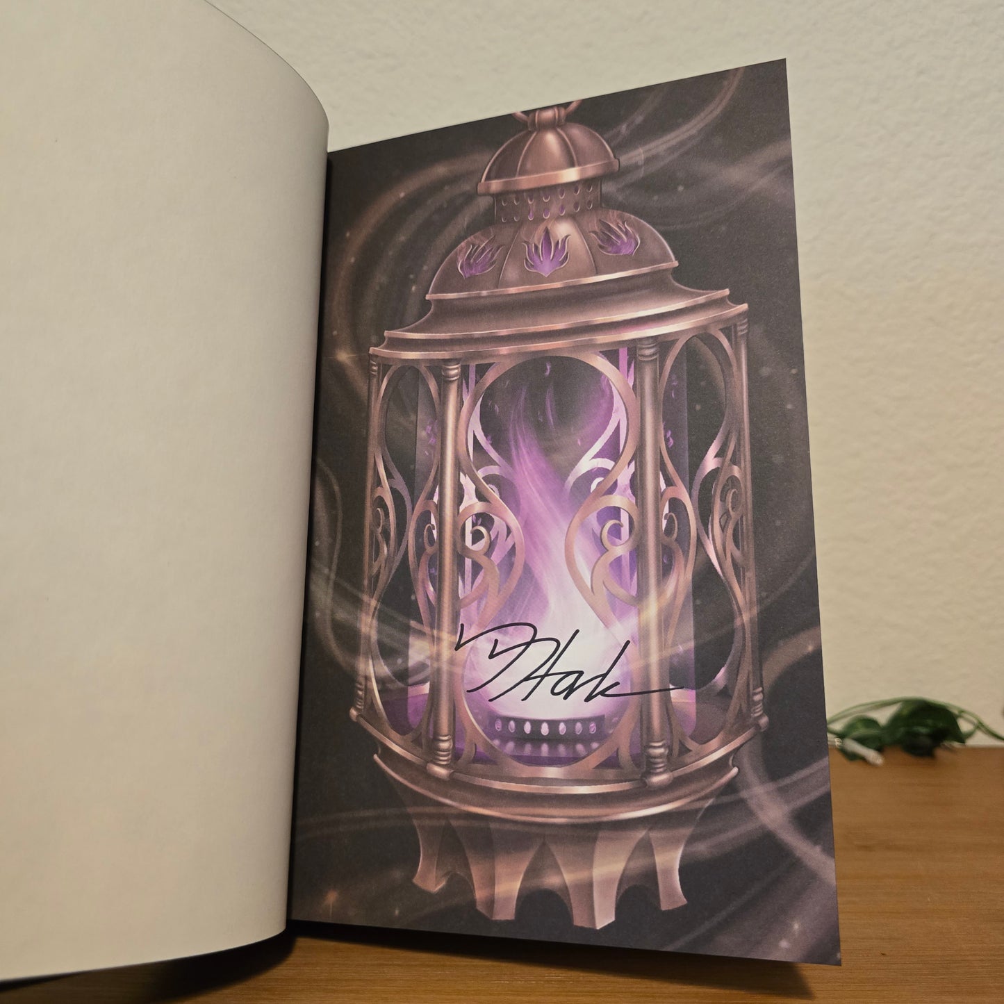 A Court This Cruel and Lovely & A Kingdom This Cursed and Empty by Stacia Stark — The Arcane Society Exclusive Bundle (Signed)