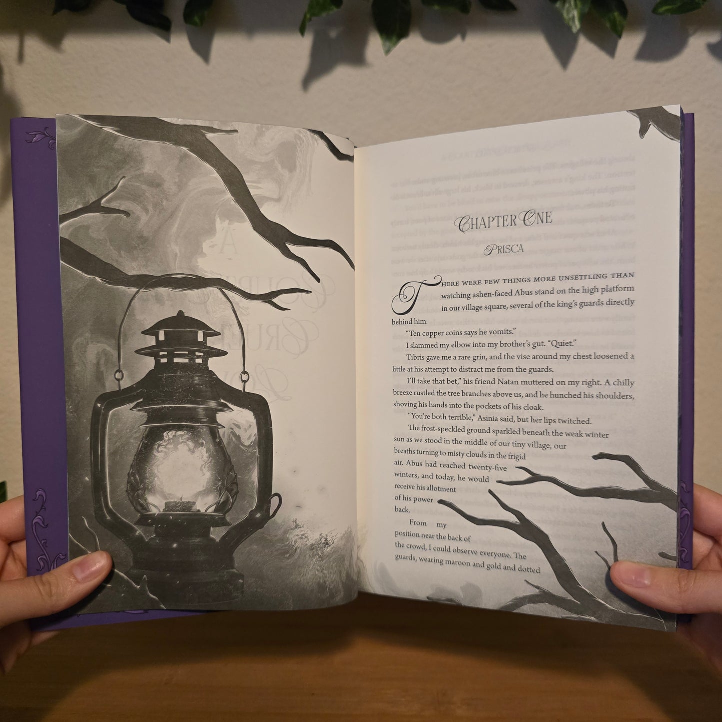 A Court This Cruel and Lovely & A Kingdom This Cursed and Empty by Stacia Stark — The Arcane Society Exclusive Bundle (Signed)