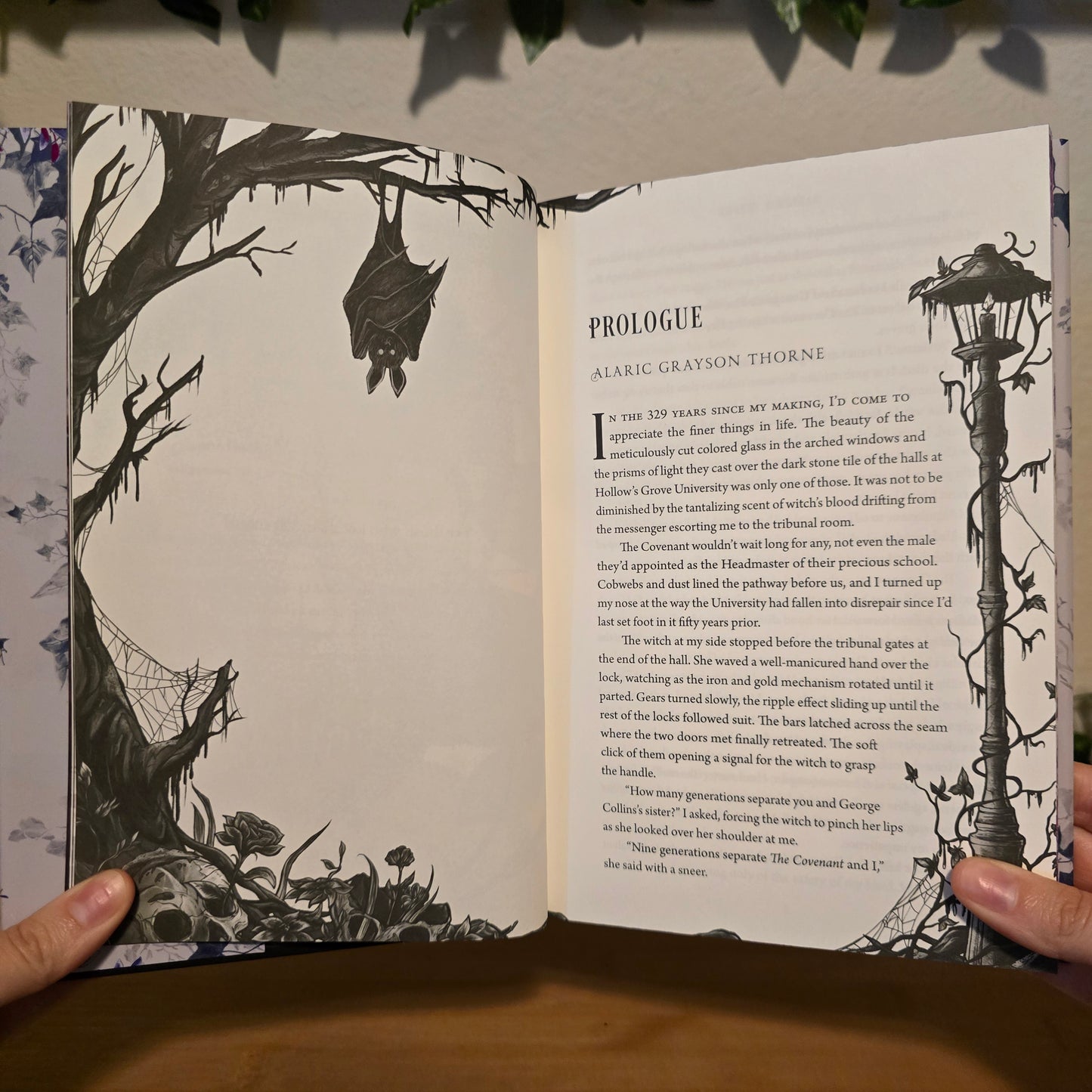 The Coven & The Cursed by Harper L. Woods — Midnight Whispers Exclusive Edition Bundle (Signed)