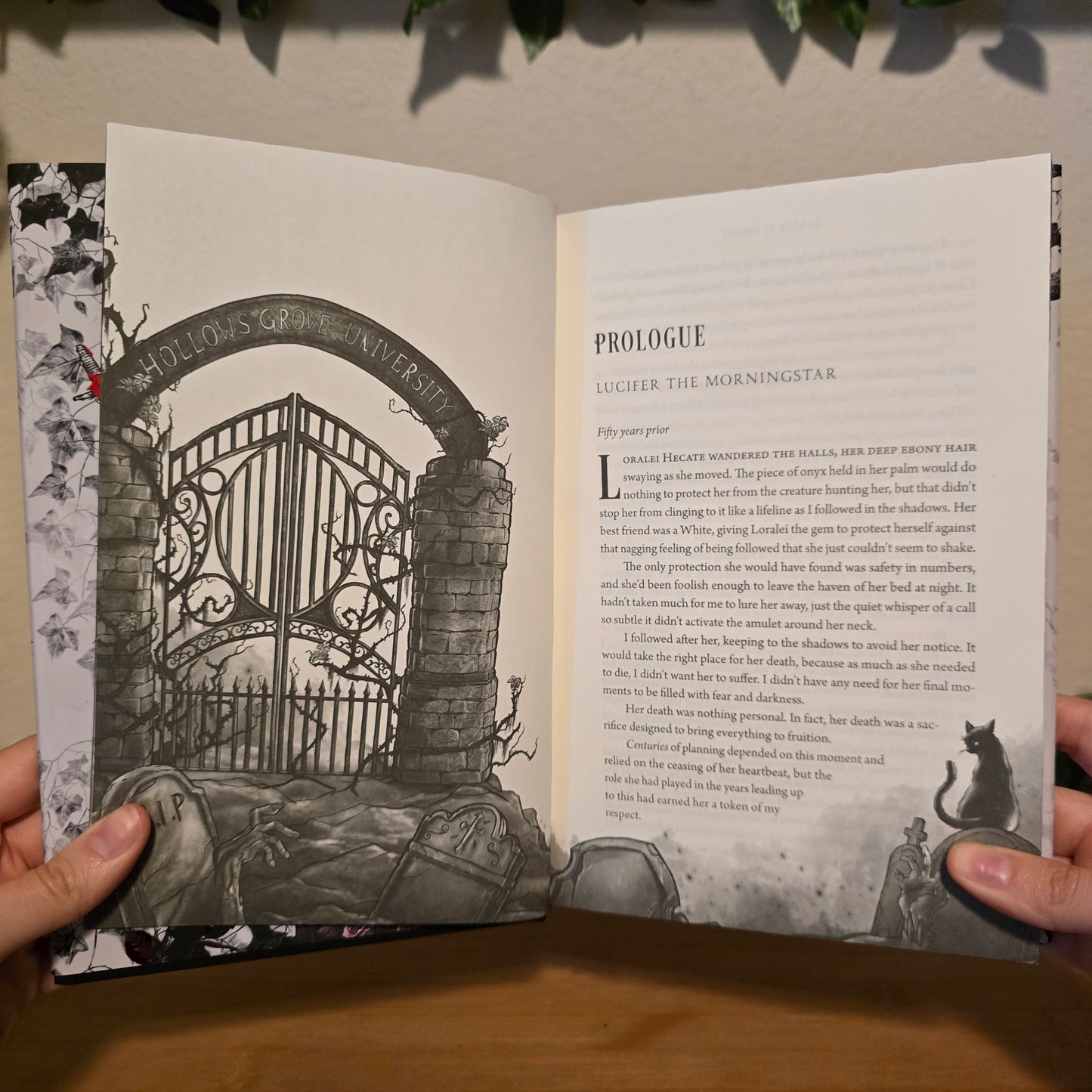 The Coven & The Cursed by Harper L. Woods — Midnight Whispers Exclusive Edition Bundle (Signed)